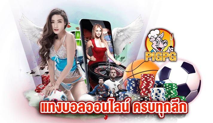รูปภาพแบนเนอร์ PIGPG แทงบอลออนไลน์ ดูบอลสด ครบทุกลีก