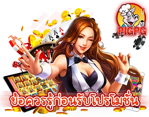 รูปภาพ Banner บทความ โปรโมชั่น PIGPG หัวข้อ ข้อควรรู้ก่อนรับโปรโมชั่น